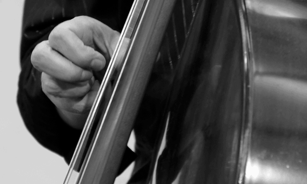 Strings 2 Voices | Jürgen Goldschmidt